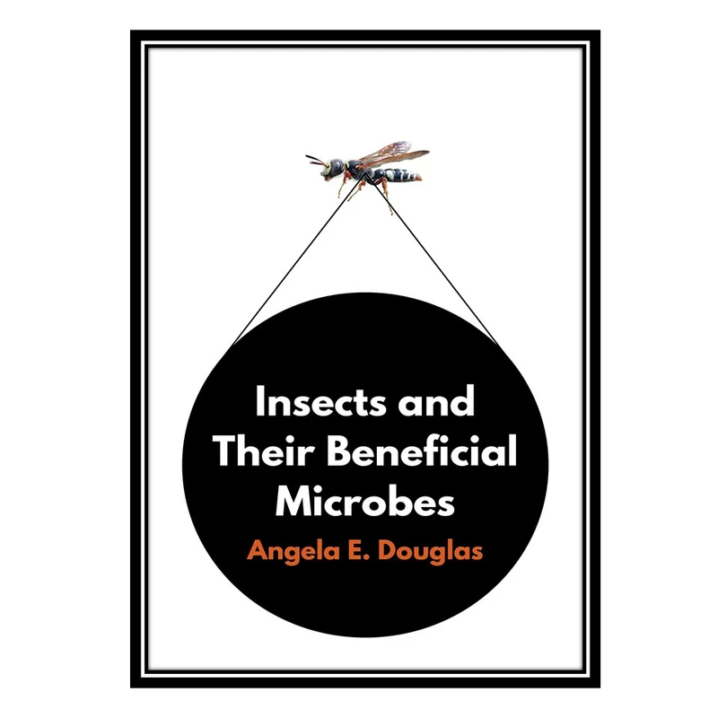کتاب Insects and Their Beneficial Microbes اثر Angela E. Douglas انتشارات مؤلفین طلایی