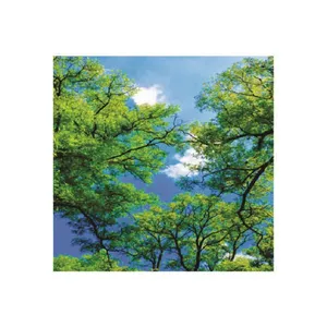 تایل سقفی آسمان مجازی مدل B33 سایز 60*60 سانتی متر