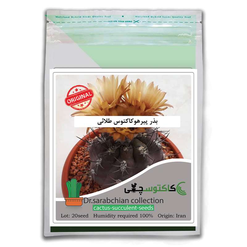 بذر پیرهوکاکتوس طلائی کاکتوسچی مدل AM-031