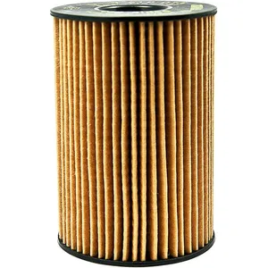 فیلتر روغن بی ام دبلیو کد 1142512300 مناسب برای بی ام دبلیو E60 بی ام دبلیو M54