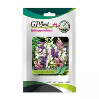 بذر گل استکانی الوان گلبرگ پامچال کد GPF-015