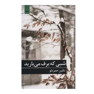 کتاب شبی که برف می بارید اثر تکین حمزه لو انتشارات برکه خورشید