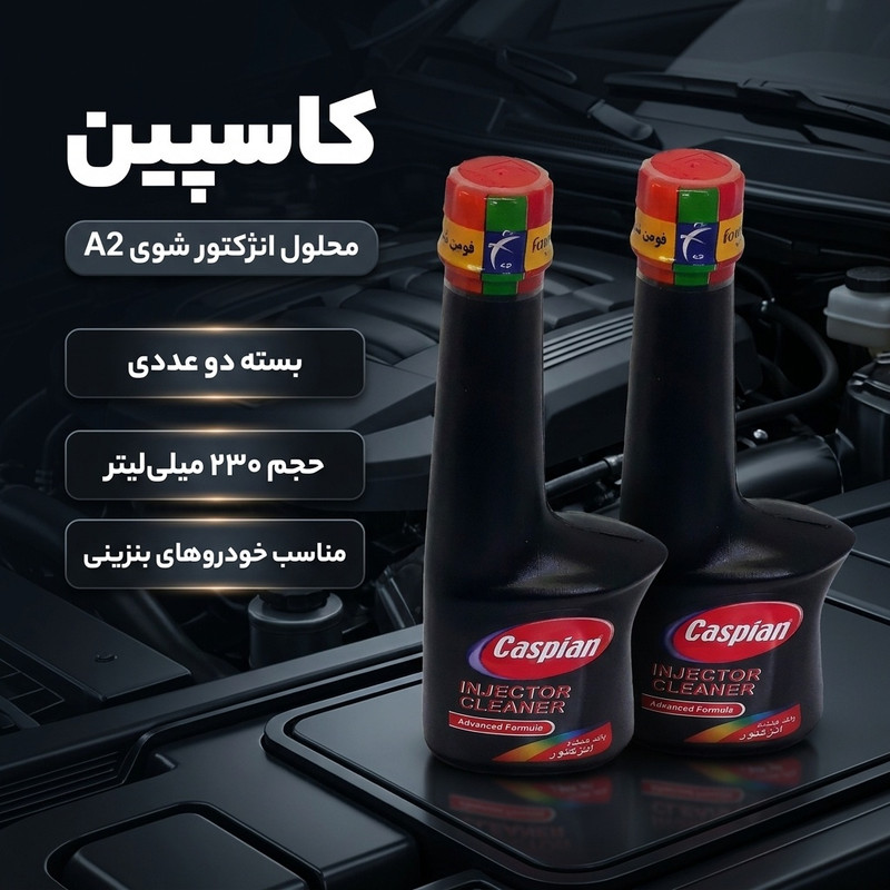  محلول انژکتور شوی کاسپین مدل A2 حجم 230 میلی لیتر بسته دو عددی
