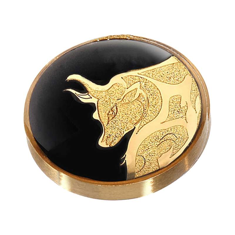 سنجاق سینه دانژه طرح ماه اردیبهشت ZBNG0400002