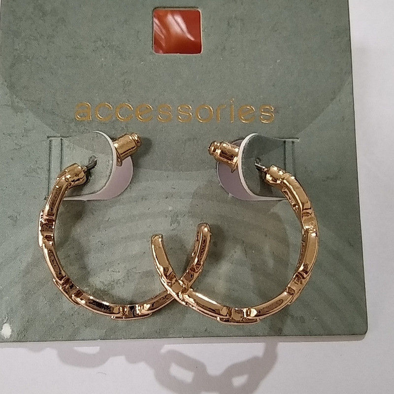 گوشواره زنانه اکسسورایز مدل حلقه ای کد B47