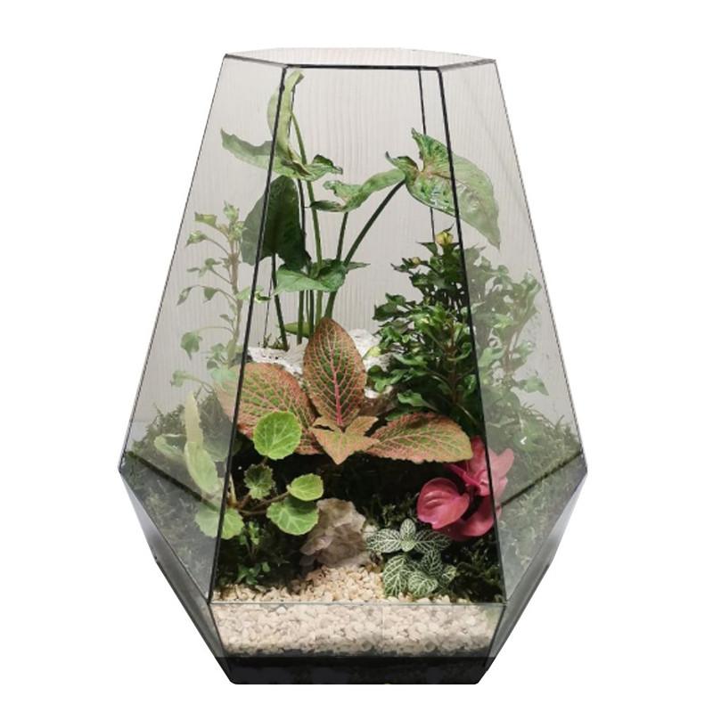 تراریوم گیاهی مدل sh-2021 کد 020