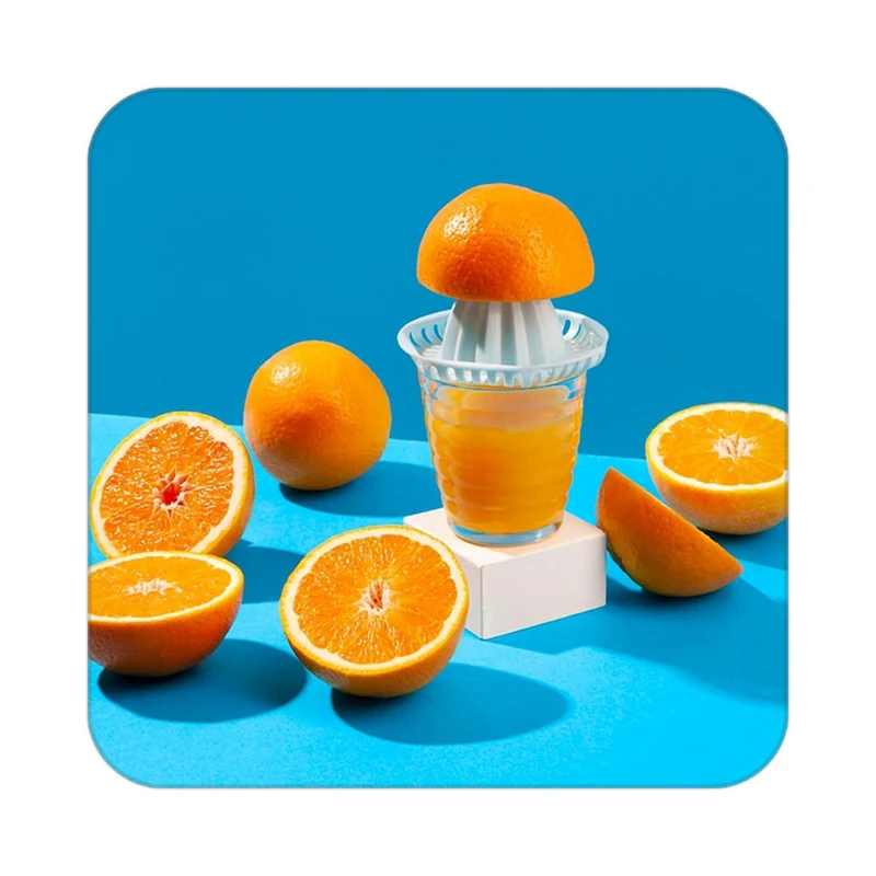 زیر لیوانی کاکتی طرح میوه مدل mp21474