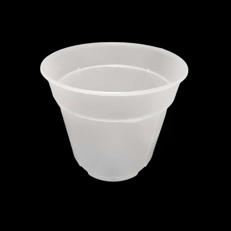 گلدان مدل شفاف ارکیده کد 20 بسته 5عددی گلدان مدل شفاف ارکیده کد 20 بسته 5عددی