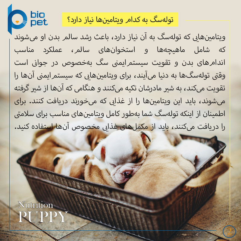 پودر مکمل توله سگ بایو پت مدل Puppy وزن 400 گرم