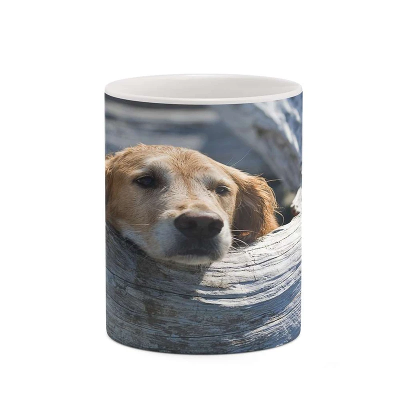 ماگ کاکتی مدل سگ کد mgh19235