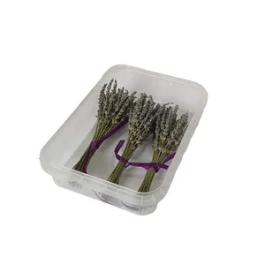 گل خشک مدل اسطوخودوس طرح لوندر بسته 3 عددی
