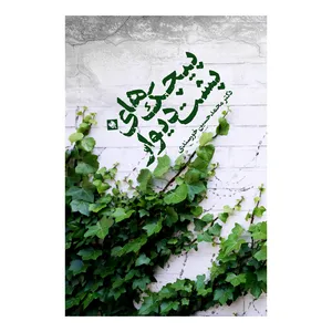 کتاب پیچک های پیشت دیوار اثر محمدحسین خورسندی نشر متخصصان
