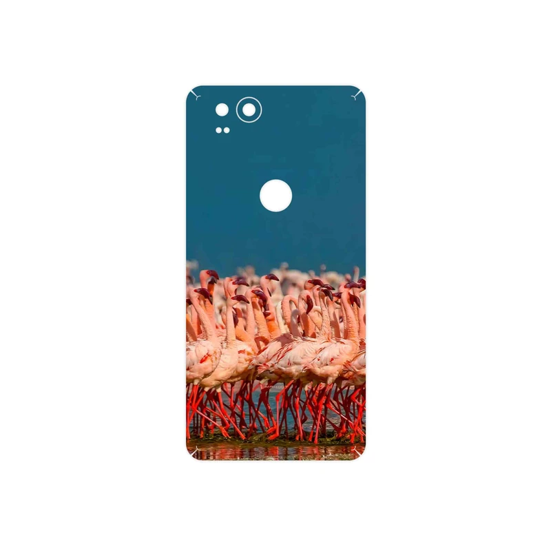 برچسب پوششی ماهوت مدل Flamingo مناسب برای گوشی موبایل گوگل Pixel 2