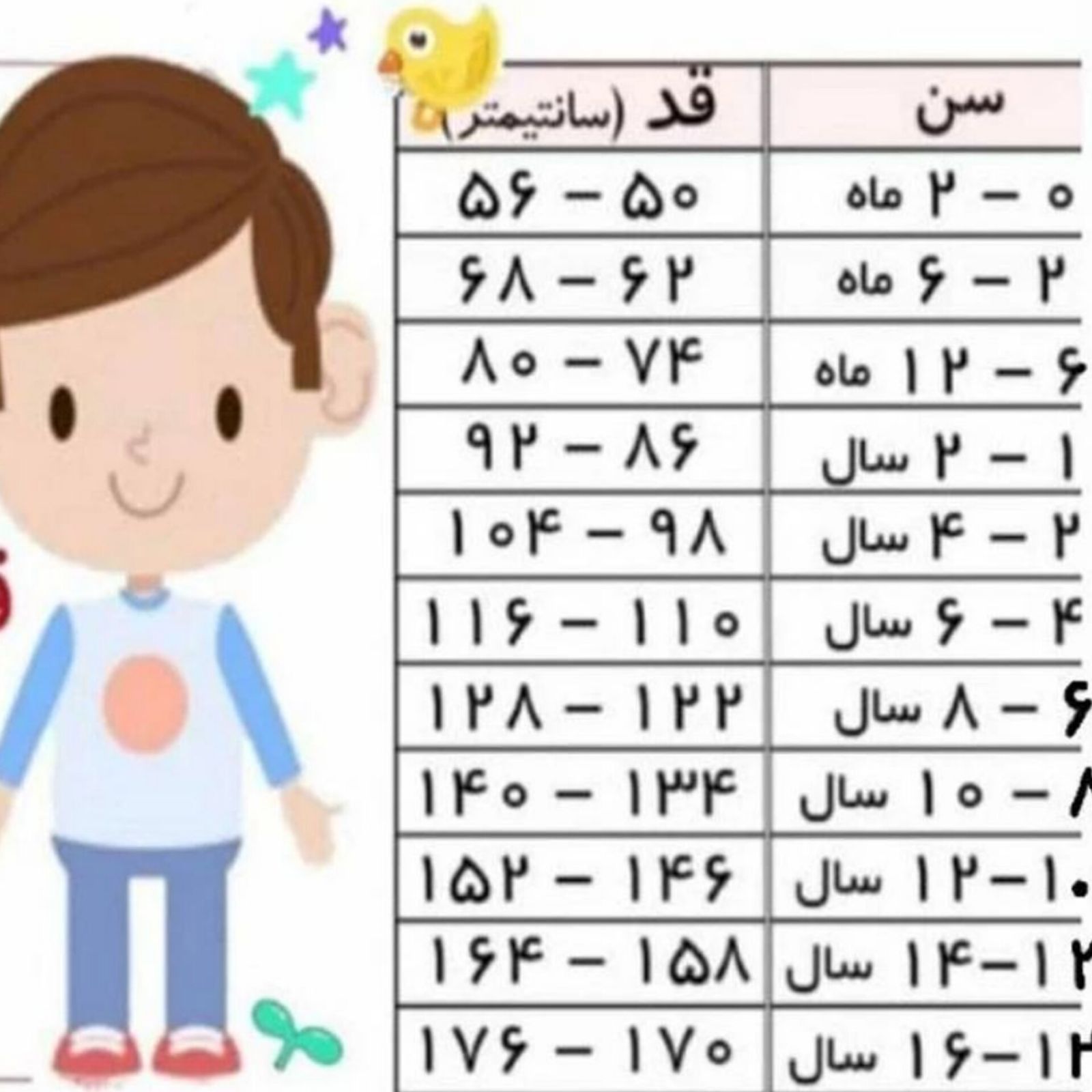 مایو پسرانه مارول مدل MA2025 -  - 4