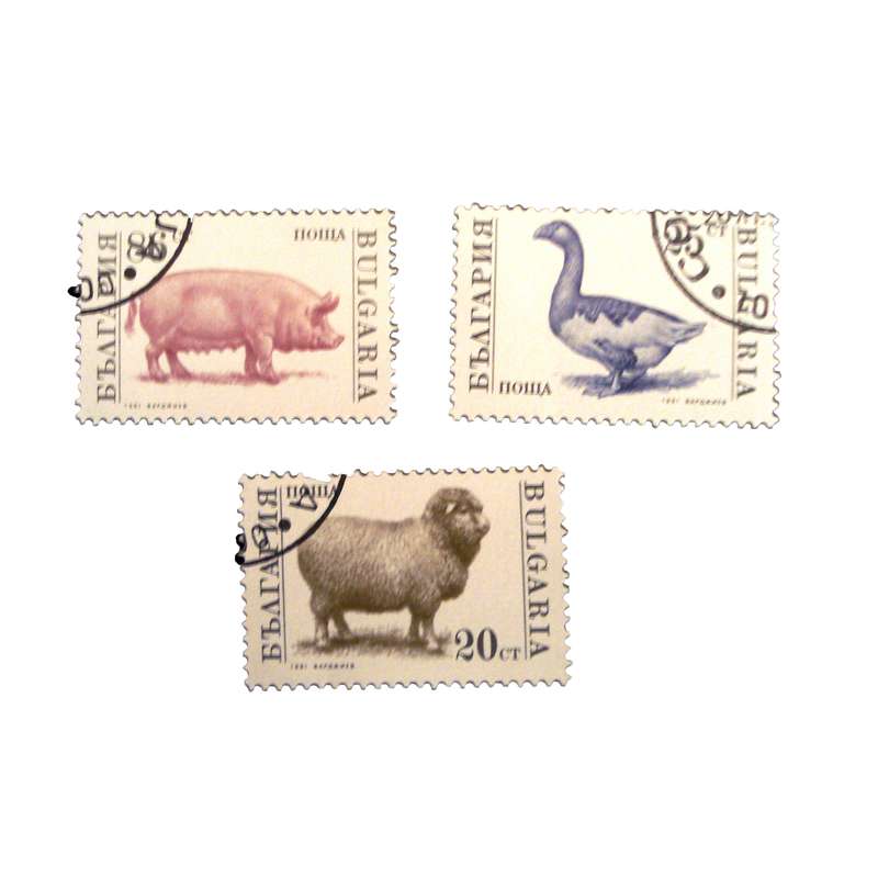 تمبر یادگاری مدل حیوانات کد DS1686 مجموعه 3 عددی