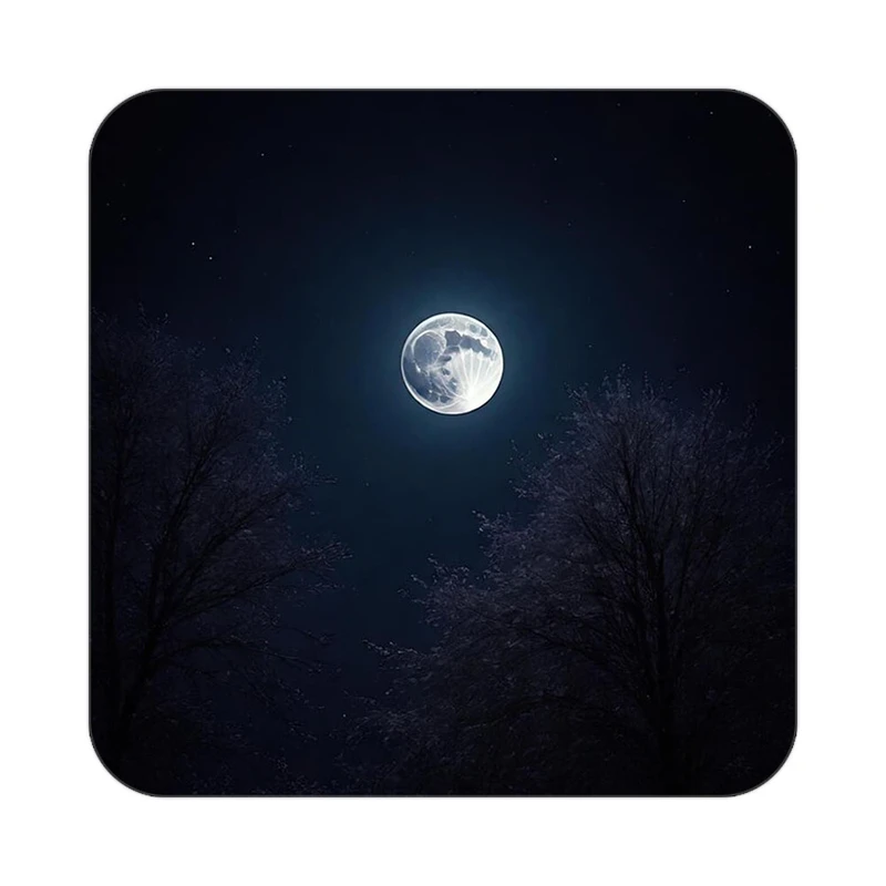 زیر لیوانی کاکتی طرح ماه و ستاره مدل mp52871