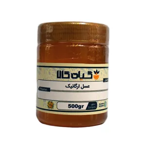 عسل طبیعی کوهستان - 500 گرم