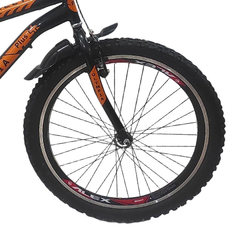 عکس شماره 10 : دوچرخه شهری المپیا مدل new g300 تک سرعت سایز طوقه 24 اینچ