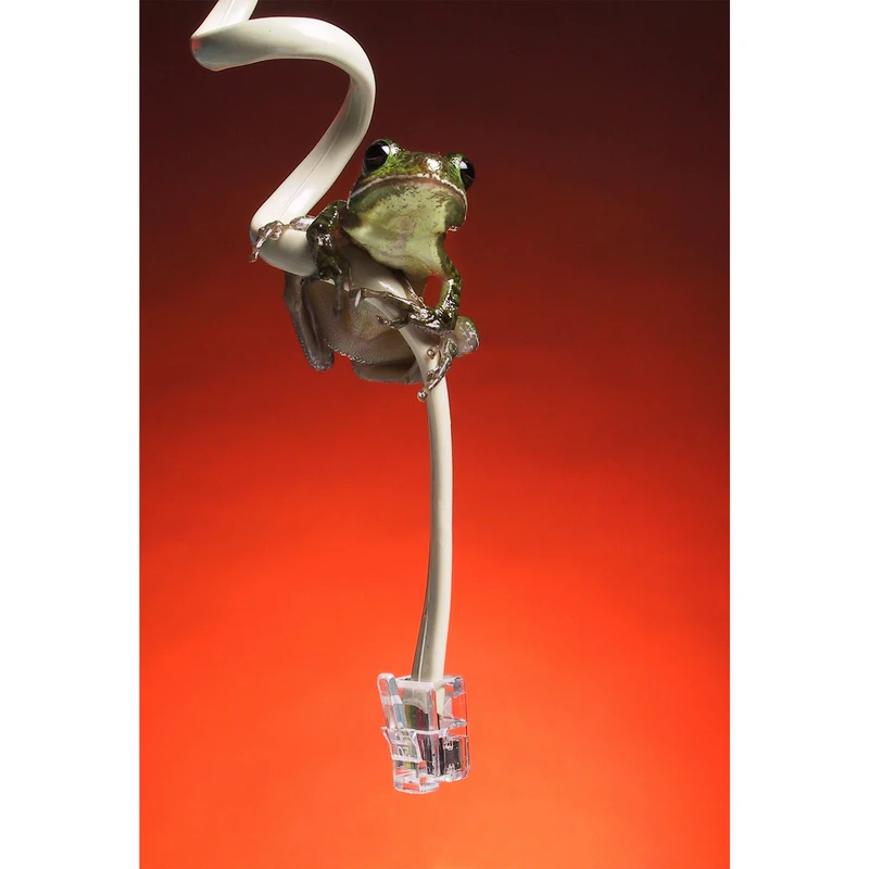 تابلو شاسی مدل قورباقه و کابل T5891