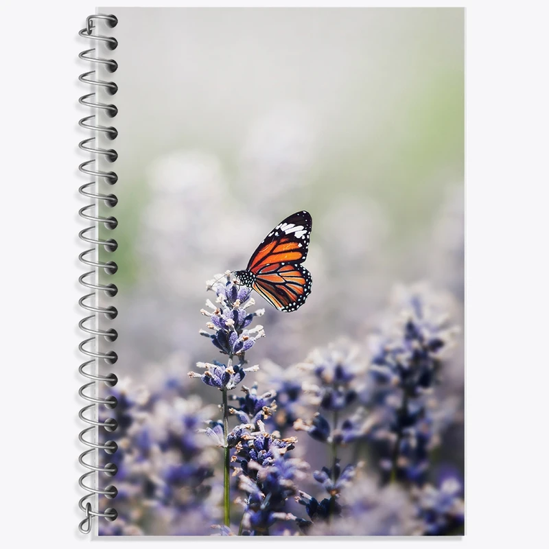 دفتر زبان 50 برگ خندالو مدل سه خط طرح پروانه و گل کد F1774