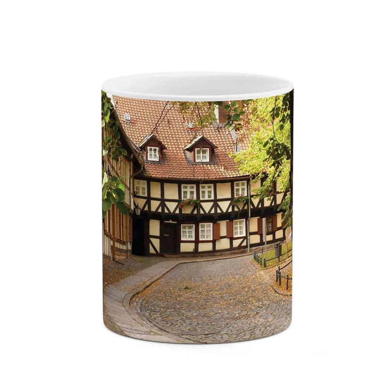 ماگ کاکتی مدل خانه زیبا کد mgh10270