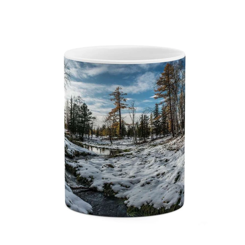 ماگ کاکتی مدل منظره کد mgh13130