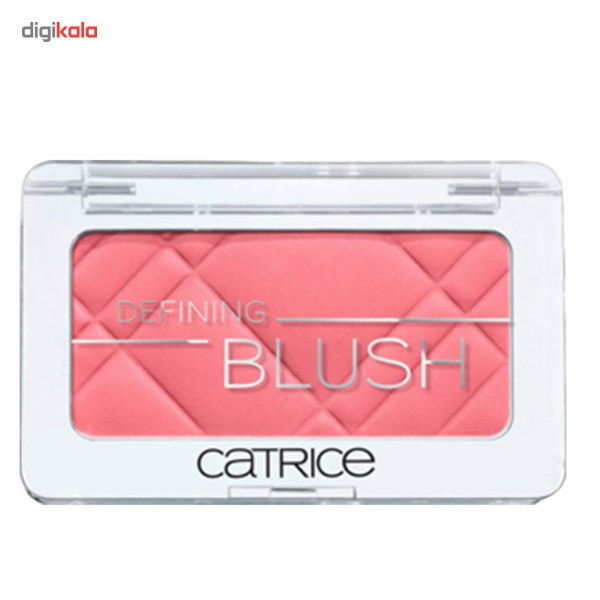 رژ گونه کاتریس مدل Defining 040