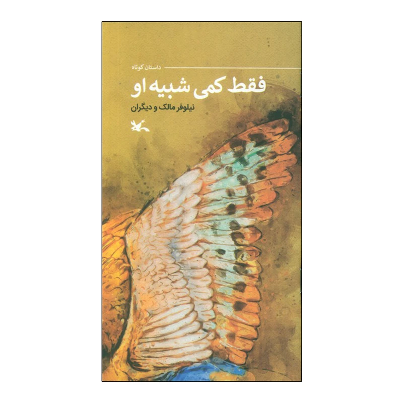 كتاب فقط کمی شبیه او اثر نیلوفر مالک انتشارات کانون پرورش فکری کودکان و نوجوانان