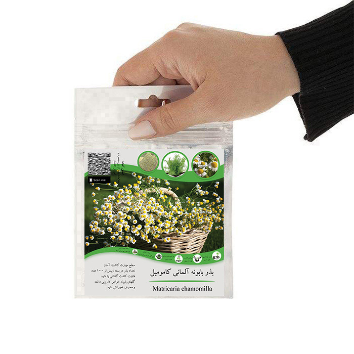 بذر گل بابونه آلمانی کامومیل مدل GL01 بذر گل بابونه آلمانی کامومیل مدل GL01