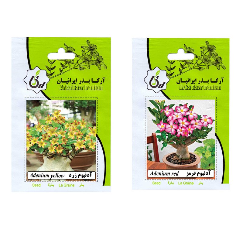 بذر گل آدونیوم قرمز و زرد آرکا بذر ایرانیان کد 65-66-ARK مجموعه 2 عددی 