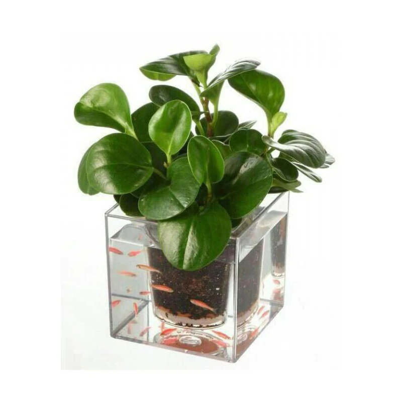 عکس شماره 11 : آکواریوم فیلی پلاست مدل گلدان دار