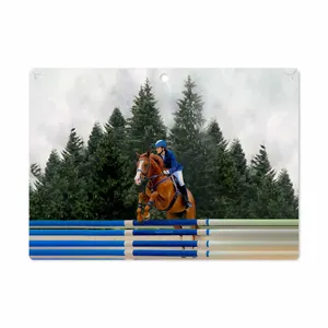 MAHOOT Equestrianism Cover Sticker for Lenovo Miix 320 2017