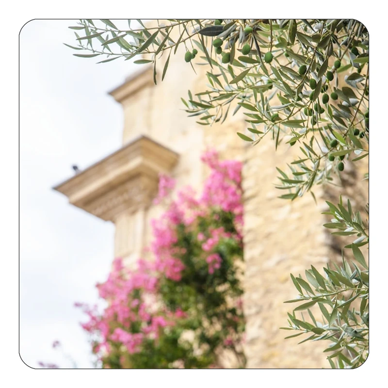 مگنت کاکتی طرح گل مدل mp19474