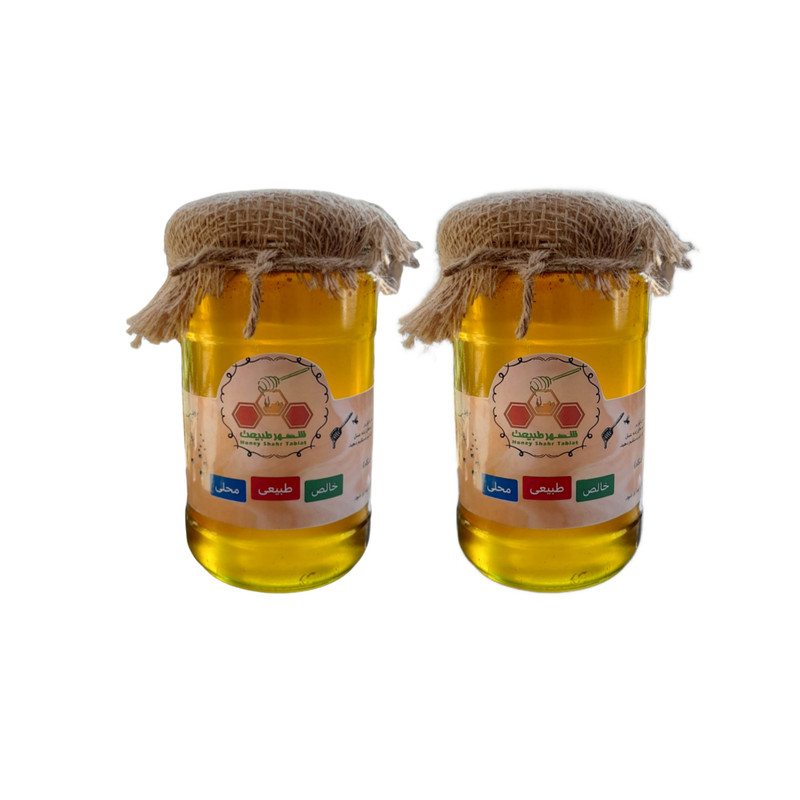 عسل طبیعی بهارنارنج شهر طبیعت - 900 گرم بسته 2 عددی