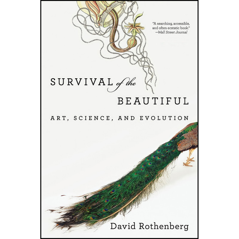 کتاب Survival of the Beautiful اثر David Rothenberg انتشارات Bloomsbury Press کتاب Survival of the Beautiful اثر David Rothenberg انتشارات Bloomsbury Press