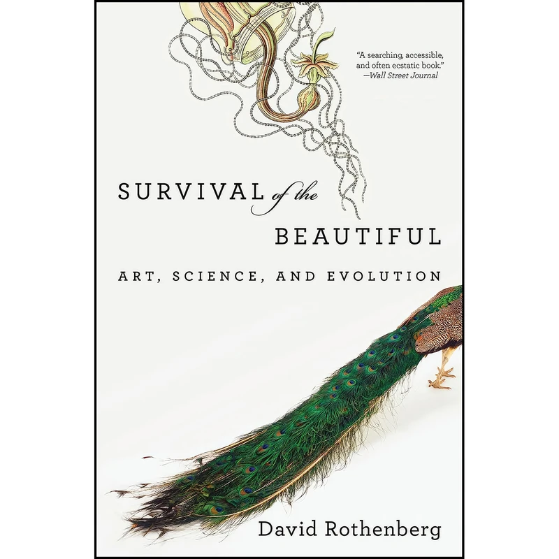 کتاب Survival of the Beautiful اثر David Rothenberg انتشارات Bloomsbury Press