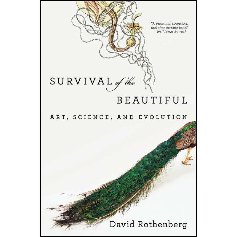 کتاب Survival of the Beautiful اثر David Rothenberg انتشارات Bloomsbury Press کتاب Survival of the Beautiful اثر David Rothenberg انتشارات Bloomsbury Press