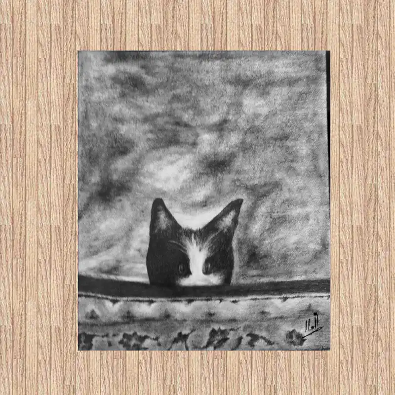 نقاشی سیاه قلم مدل بازیگوشی