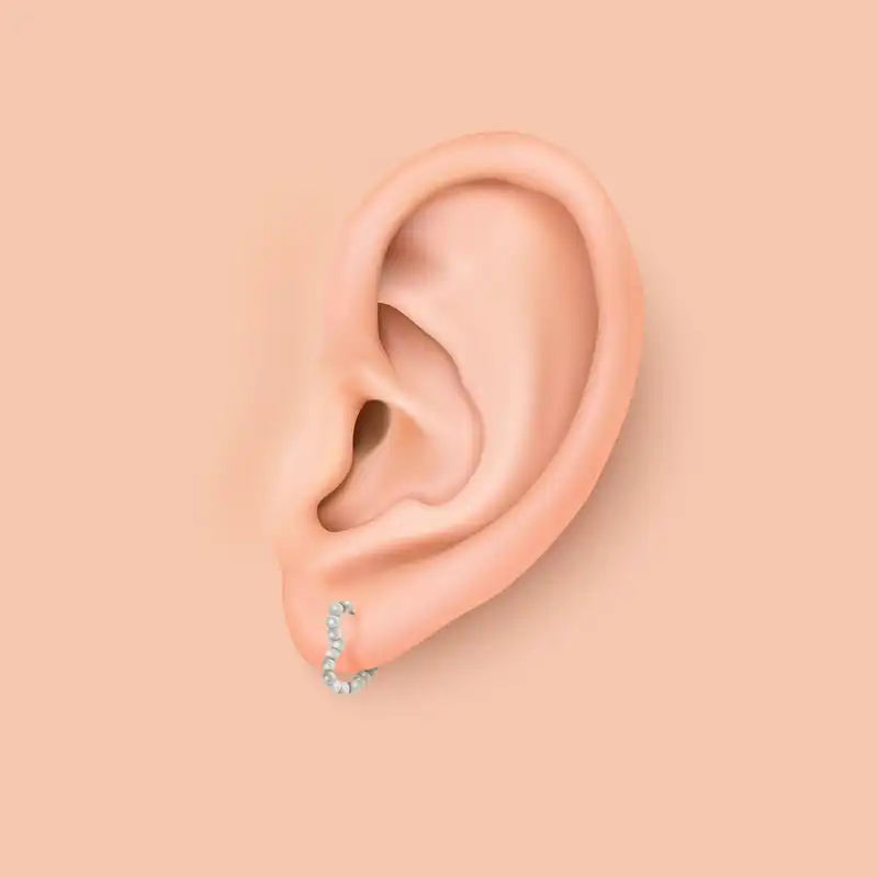 گوشواره زنانه پایتخت مدل PS591_GO بسته دو عددی