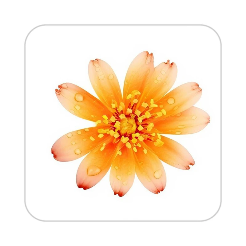 زیر لیوانی کاکتی طرح گل مدل mp17535