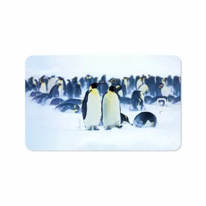 MAHOOT Penguin Cover Sticker for Samsung Galaxy Tab A 10.1 2016 T585