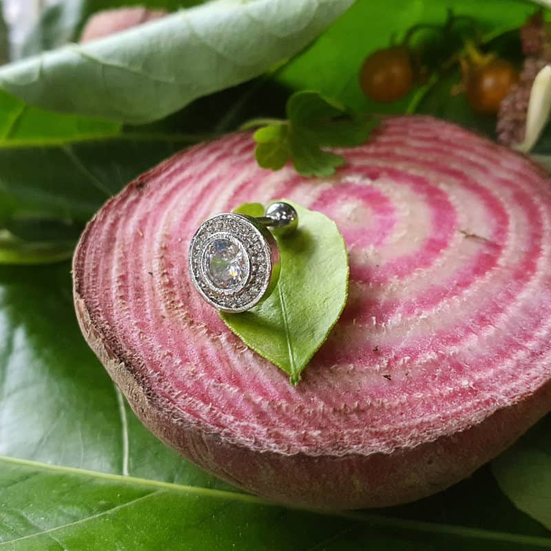 پیرسینگ گوش زنانه پایتخت مدل PS284 پیرسینگ گوش زنانه پایتخت مدل PS284