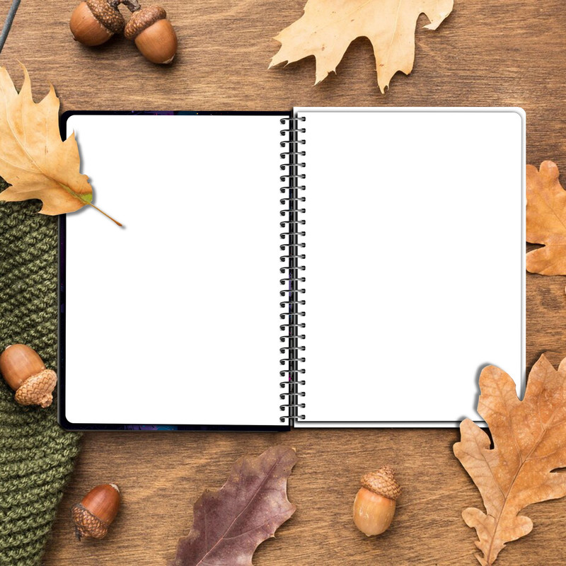 دفتر نقاشی مستر راد مدل فضانورد کد fiory 2292