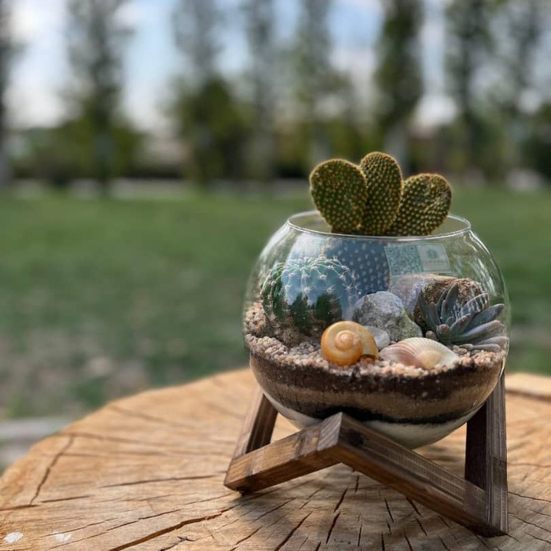 تنگ ماهی مدل پایه دار