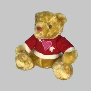 عروسک طرح خرس تدی مدل Teddy Bear Love Dress کد SZ13/1171 ارتفاع 17 سانتی‌متر