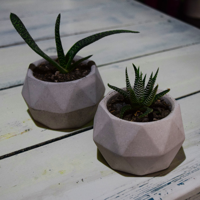 گلدان مدل چند وجهی بسته 2 عددی