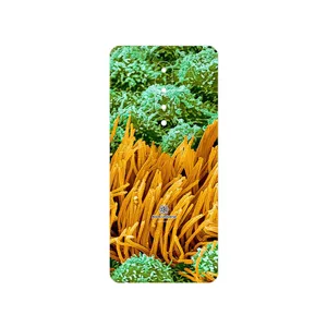 MAHOOT Atom Universe 6 Cover Sticker for OnePlus 8