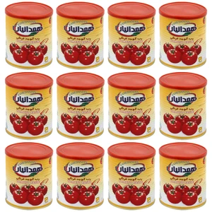 رب گوجه فرنگی همدانیان - 800 گرم بسته 12 عددی