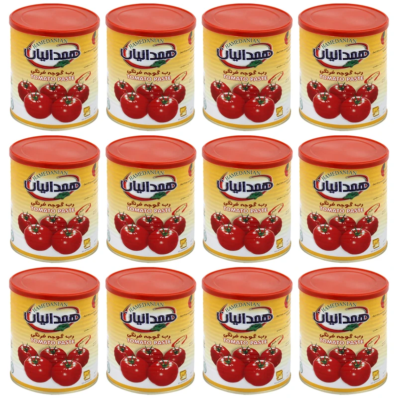 رب گوجه فرنگی همدانیان - 800 گرم بسته 12 عددی