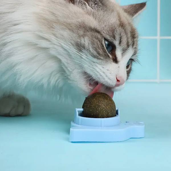 تشویقی گربه مدل آبنبات کت نیپ دار چسبی طرح حلزون